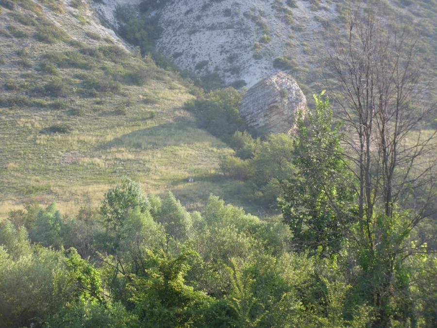 P7262234.JPG P7262234.JPG