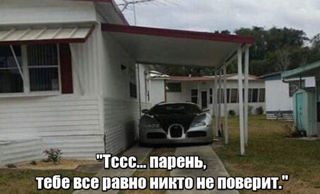 Подборка картинок Подборка картинок
