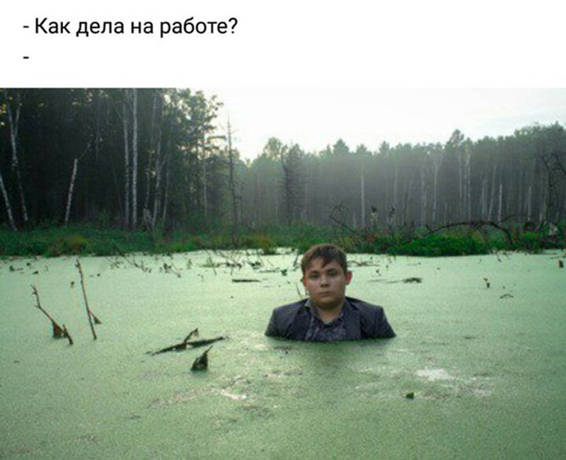 Челябинский школьник стал героем соцсетей, стараясь победить в конкурсе фотографий...