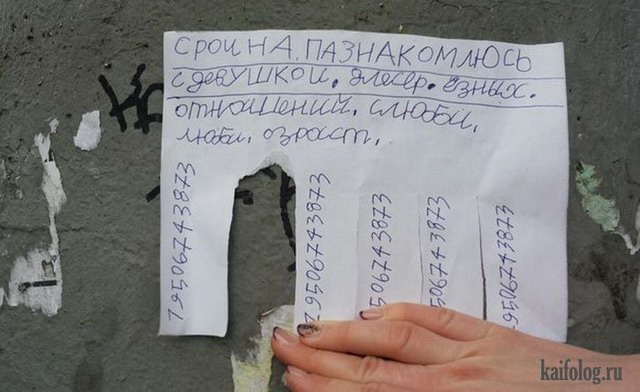 Русские маразмы за неделю (55 фото) Русские маразмы за неделю (55 фото)