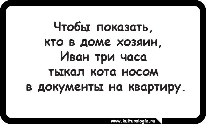 15 открыток, которые будут близки и понятны поклонникам котиков