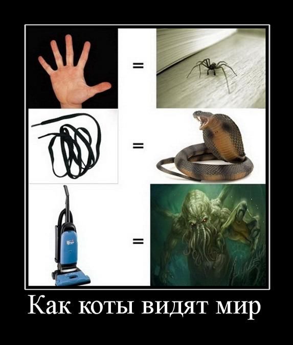 Смешные демотиваторы на утро (11 фото) Смешные демотиваторы на утро (11 фото)