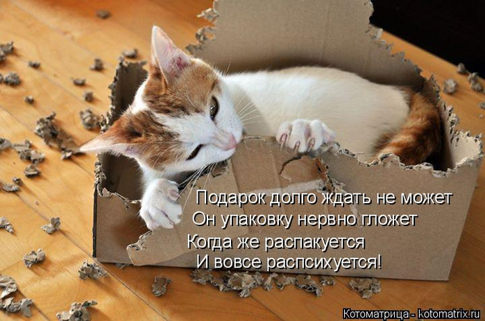kotomatritsa_q (1) (700x463, 341Kb)
