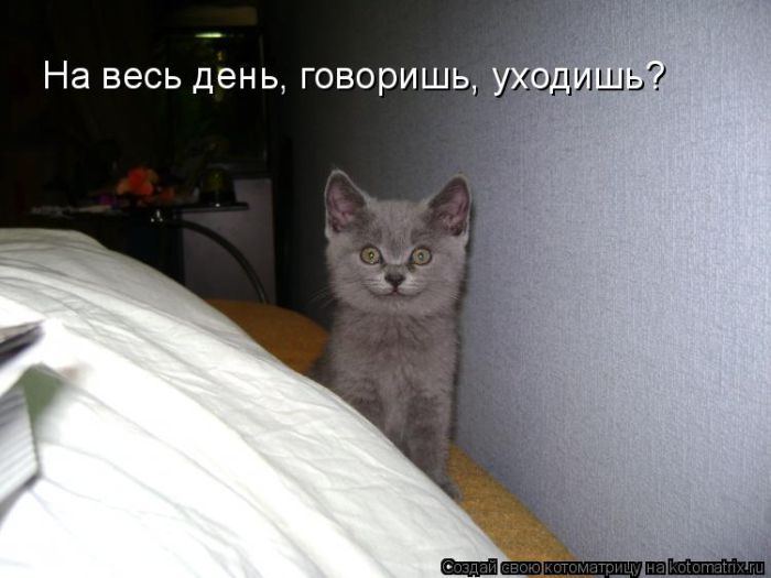 Мысли вслух :)