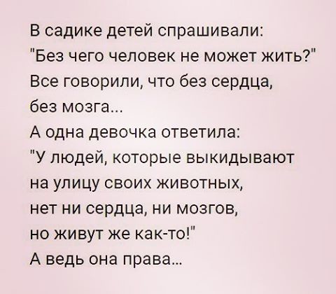 14. Чистые сердца видят истину 14. Чистые сердца видят истину дети говорят, картинки, смешно, юмор