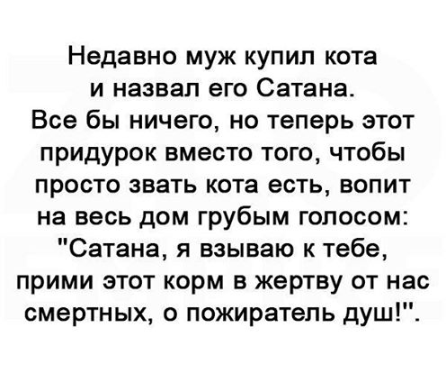 Прикольные картинки выходного дня (40 шт)