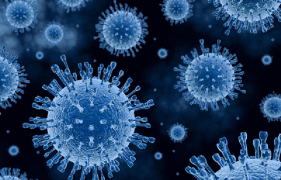 птичий грипп А (H7N9), мутации, пандемия