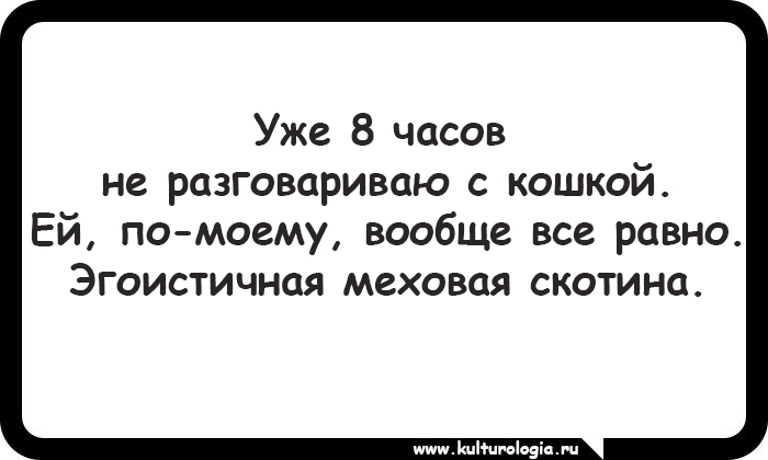 15 открыток, которые будут близки и понятны поклонникам котиков