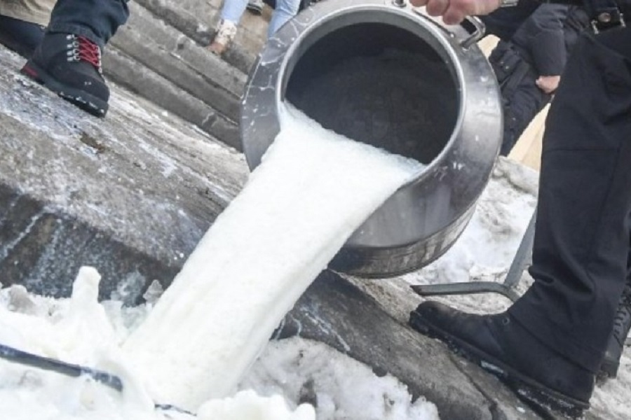 Молоко дешевле воды – жители алтайских сёл объявили забастовку