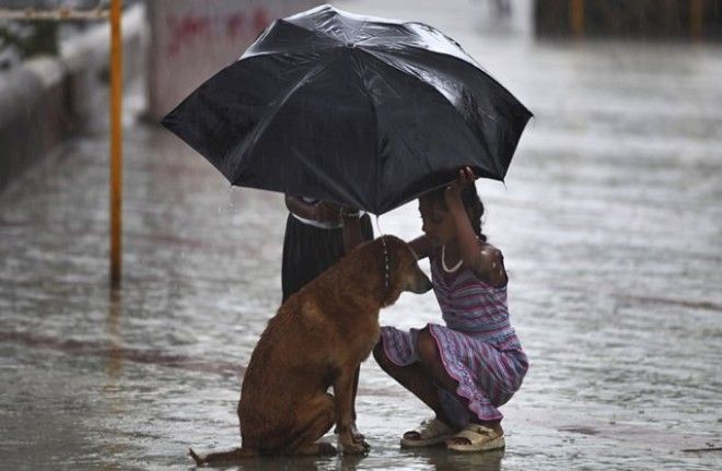 Картинки по запросу kindness