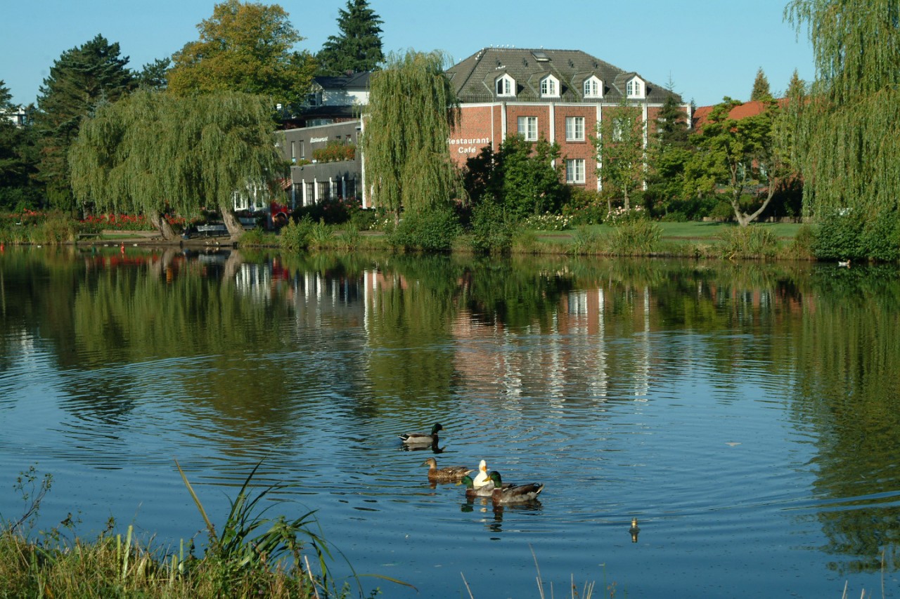 ПАРК РОЗ В ГЕРМАНИИ/ 'ROSARIUM UETERSEN'