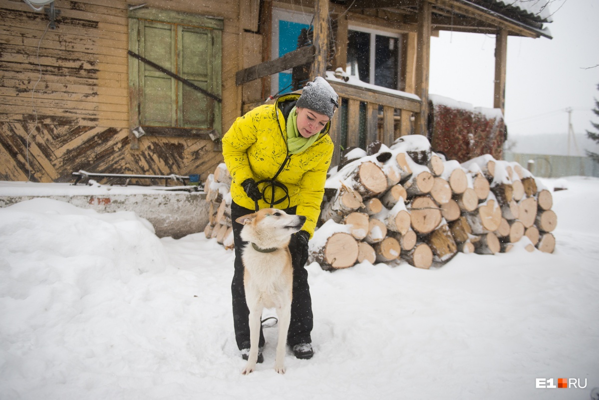 Хотела корги, подарили енотовидную собаку: репортаж из уральской деревни, где живёт необычный зверь