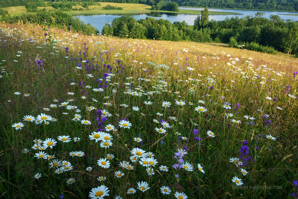 Красота природы русского севера