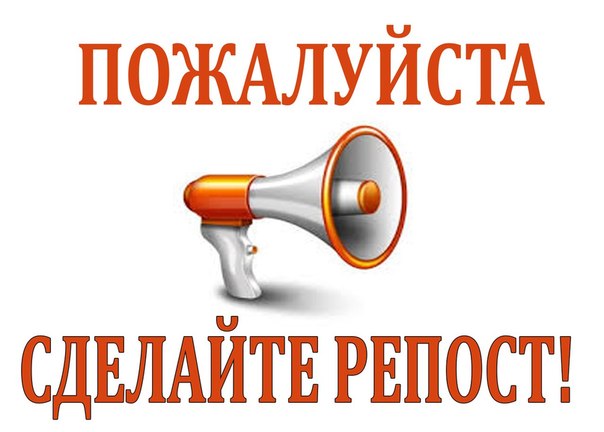 Доброжелательный длиннолапый игрун ищет семью на долгие годы!