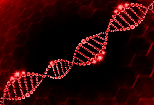 4-dna 4-dna