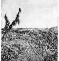 Пейзаж с дорогой вдоль плато и рекой на горизонте. 1621-1632 - Офорт, черный оттиск на белой бумаге 139 x 107 мм Риксмузеум Амстердам