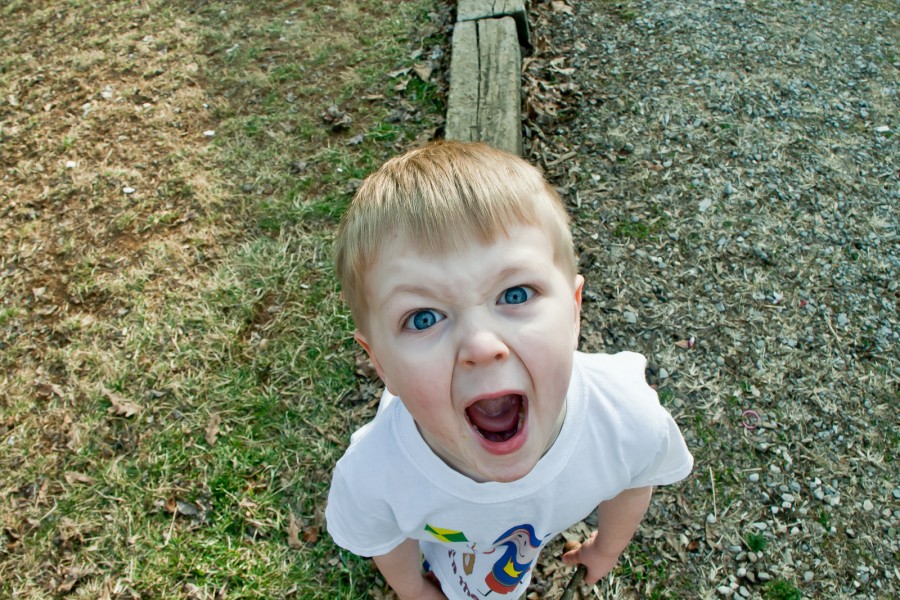 LizaBlog1ScreamingKid LizaBlog1ScreamingKid