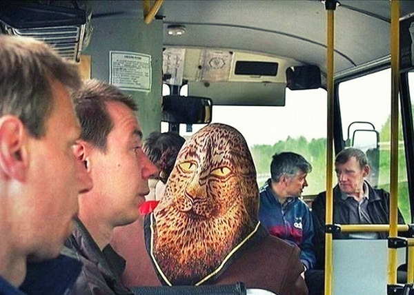 Показалось… (20 фото)
