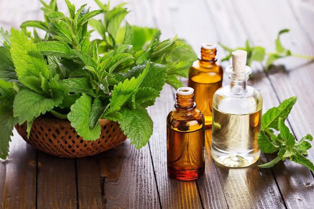 peppermint-oil-1
