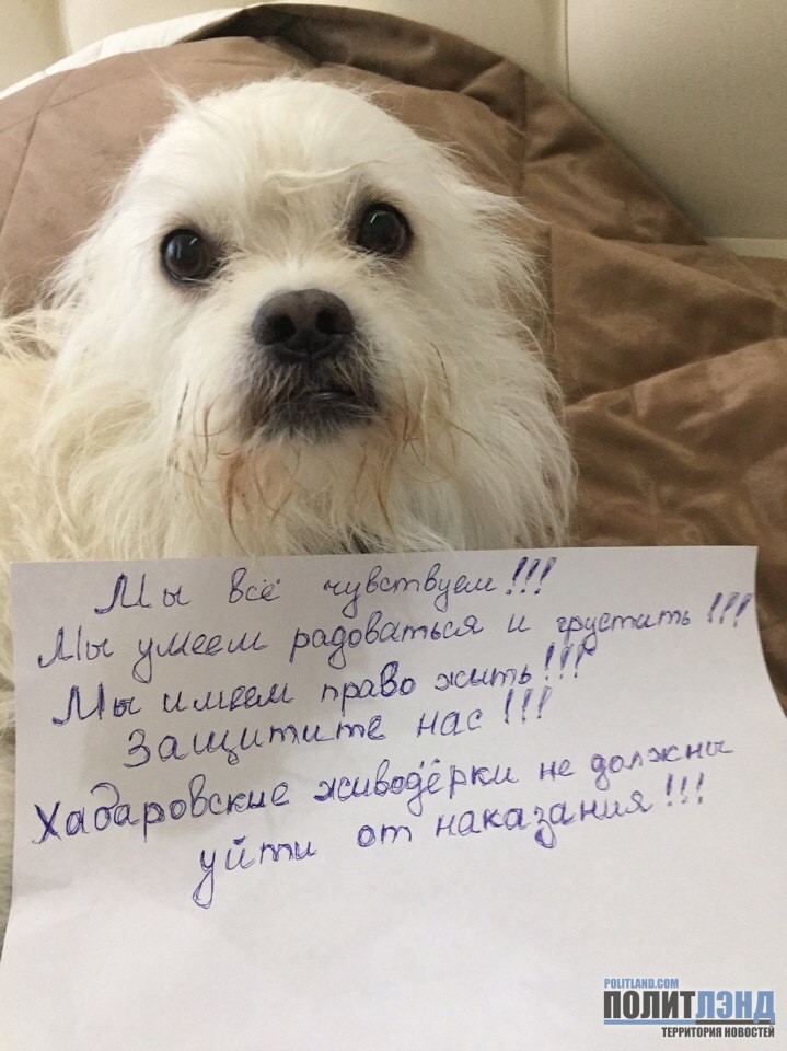 Живодерки из Хабаровска: чудовищам не место на свободе!