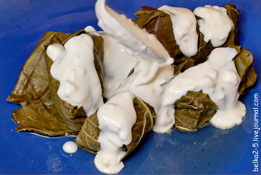 food-dolma