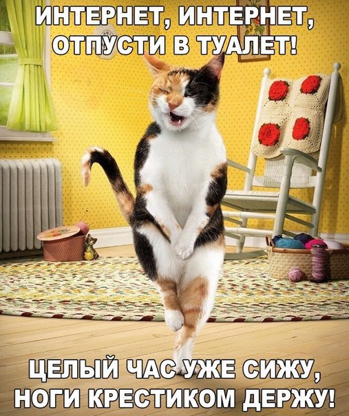 Забавные и веселые картинки с надписями для настроения (11 фото) Забавные и веселые картинки с надписями для настроения (11 фото)