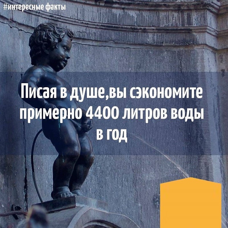 Чрезвычайно экономные люди, которые точно не пропадут в кризис Чрезвычайно экономные люди, которые точно не пропадут в кризис кризис, прикол, экономия, юмор