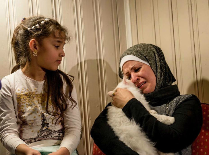 Потерявшийся кот вернулся в семью иракских беженцев, преодолев полмира (10 фото) Потерявшийся кот вернулся в семью иракских беженцев, преодолев полмира (10 фото)