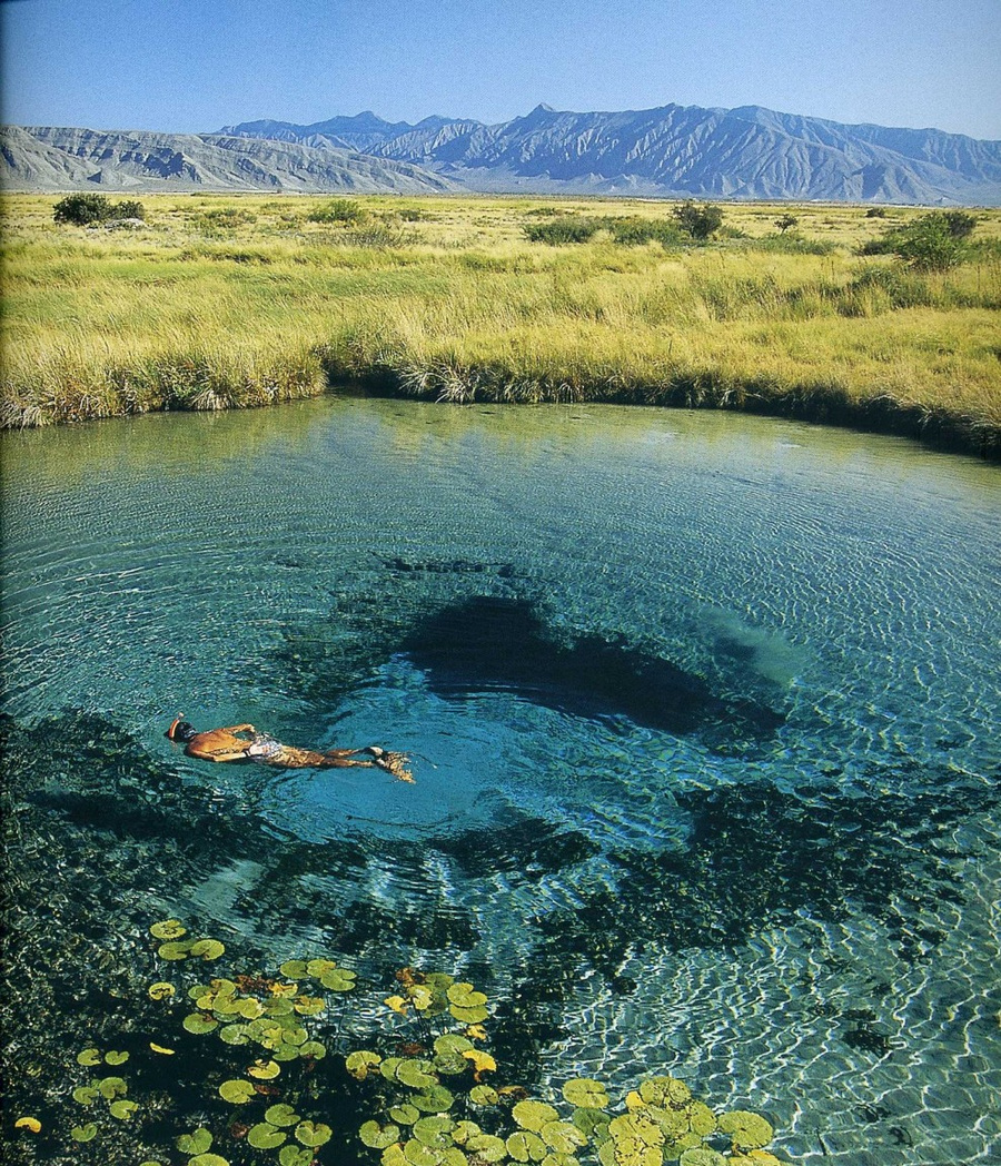 fotografii National Geographic 78