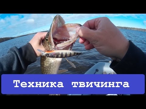 Твичинг для начинающих. Как ловить на воблеры. Твичинг для начинающих. Как ловить на воблеры.