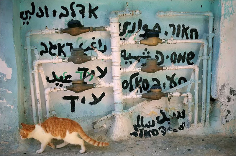 Наша маленькая жизнь глазами российского фотографа Наша маленькая жизнь глазами российского фотографа моменты жизни, отограф, репортаж, фото