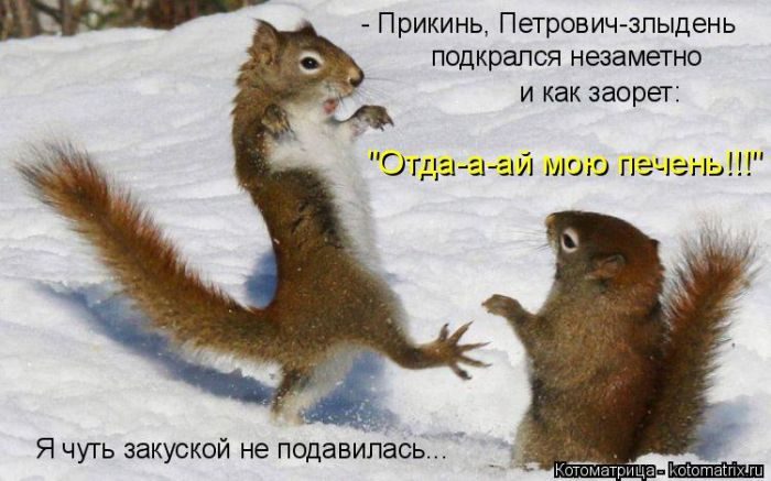 Самые весёлые котоматрицы)) Самые весёлые котоматрицы))