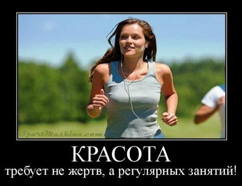 Похожее изображение