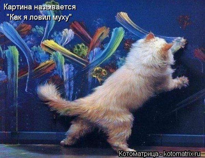Без кота жизнь не та (50 фото ) Без кота жизнь не та (50 фото )