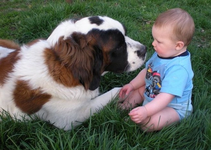 Ребенок и собака. Фото: diary.ru