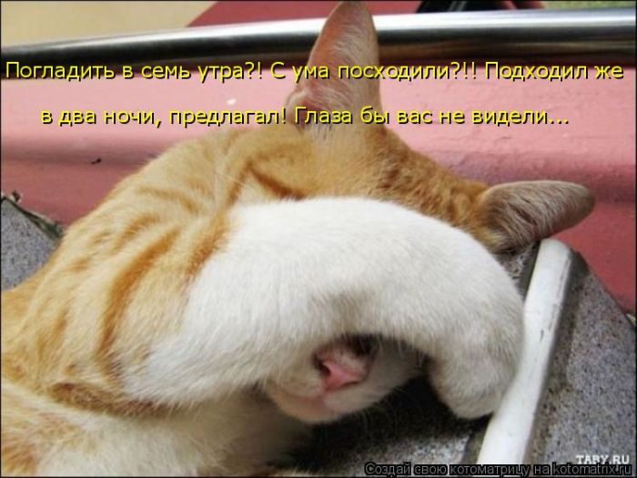 Самые весёлые котоматрицы)) Самые весёлые котоматрицы))