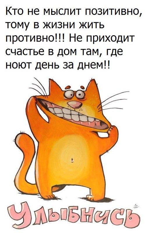 Сделай подарок нервной системе — включи пофигизм. Сделай подарок нервной системе — включи пофигизм.