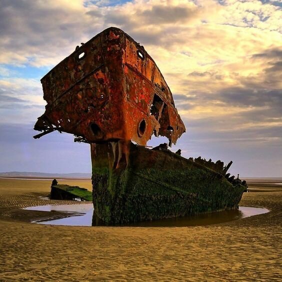 30 фото о жизни и смерти коней моря 30 фото о жизни и смерти коней моря