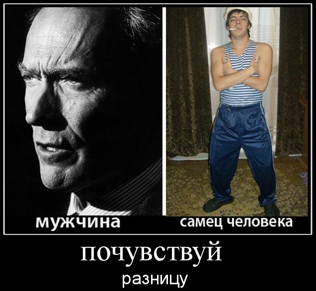 Где искать мужика?.. 