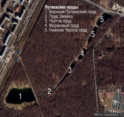 Прогулка по прудам Сокольников