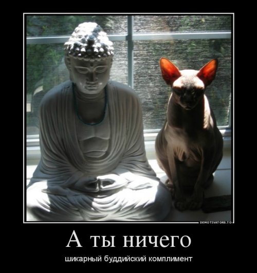 Свежие демотиваторы для настроения (20 шт) Свежие демотиваторы для настроения (20 шт)