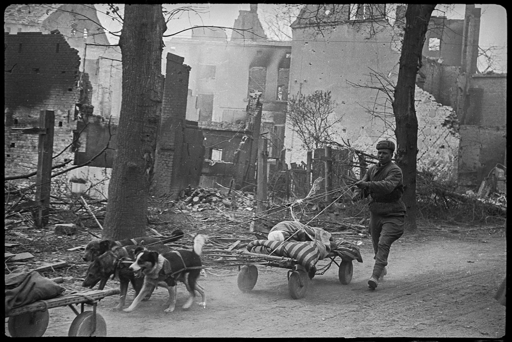 Военный фотограф Валерий Фаминский: 1943-45 гг Военный фотограф Валерий Фаминский: 1943-45 гг