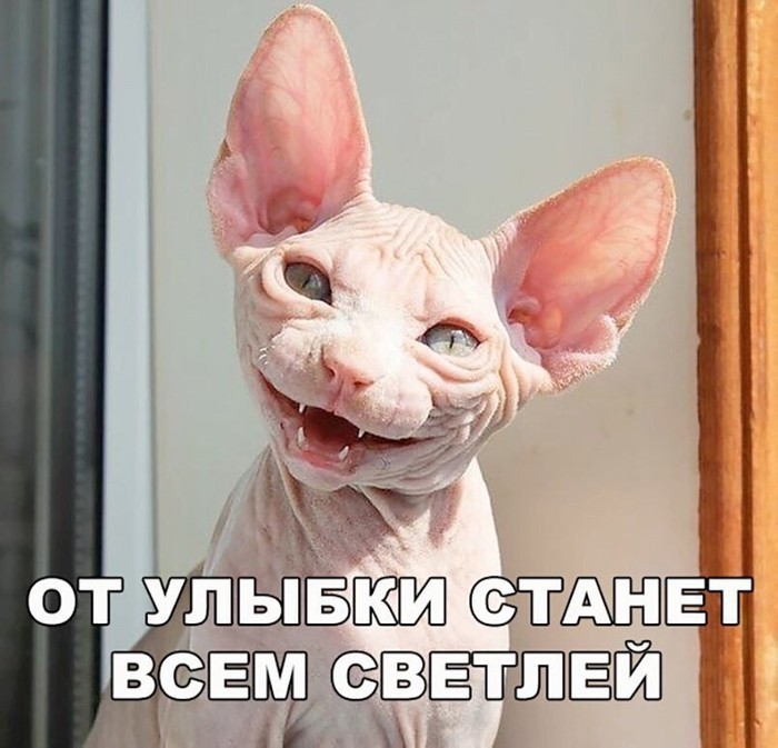 imageъъ (700x673, 89Kb)