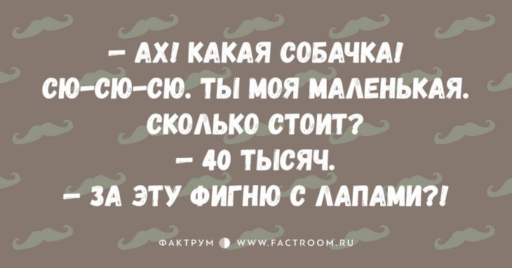 15 свежих анекдотов, которыми вы просто обязаны поделиться с друзьями 15 свежих анекдотов, которыми вы просто обязаны поделиться с друзьями