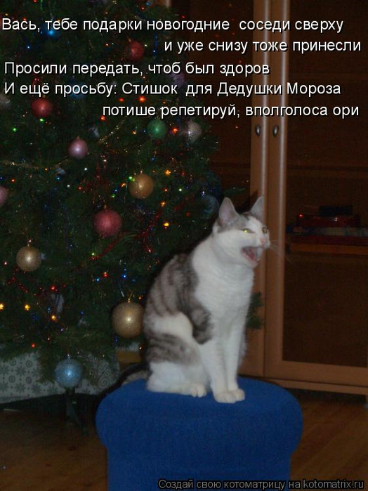 kotomatritsa_7 (2) (524x700, 354Kb)