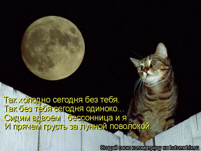Стих коты уходят Стих коты уходят