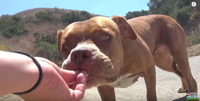 tmg-article_tall (5)