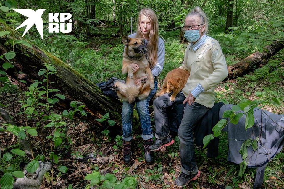 Как двум беженкам из Луганска год удается выживать в подмосковном лесу