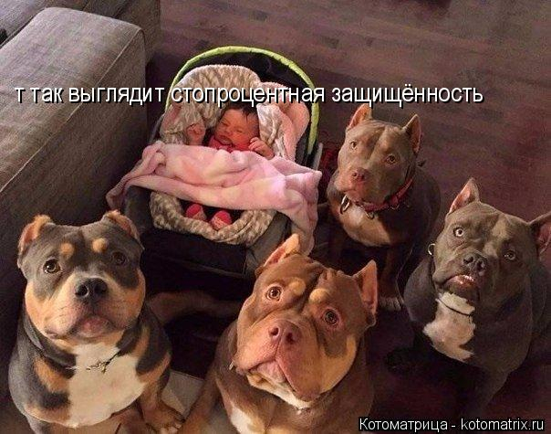kotomatritsa_x (1) (604x475, 228Kb)