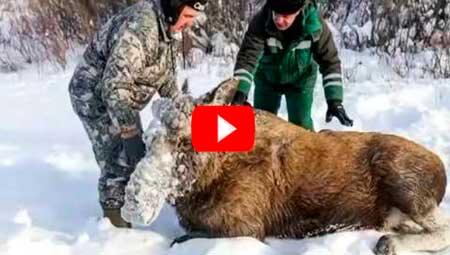 После этого видео, начинаешь вновь верить в людей